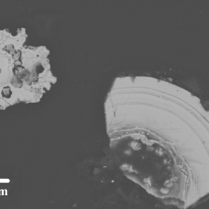 Новый минерал АМГАИТ обнаружен на Хохойском золоторудном месторождении